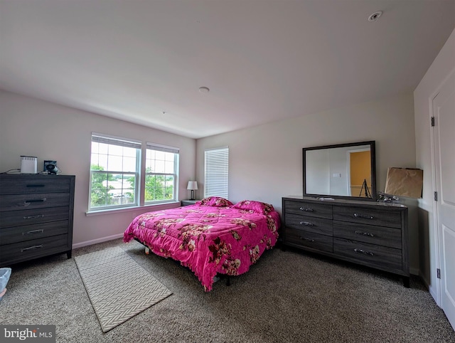 bedroom with carpet floors