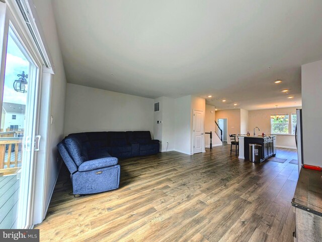 living room featuring sink and wood-type flooring