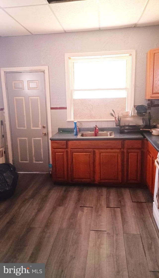 kitchen featuring a paneled ceiling, sink, and dark wood-type flooring