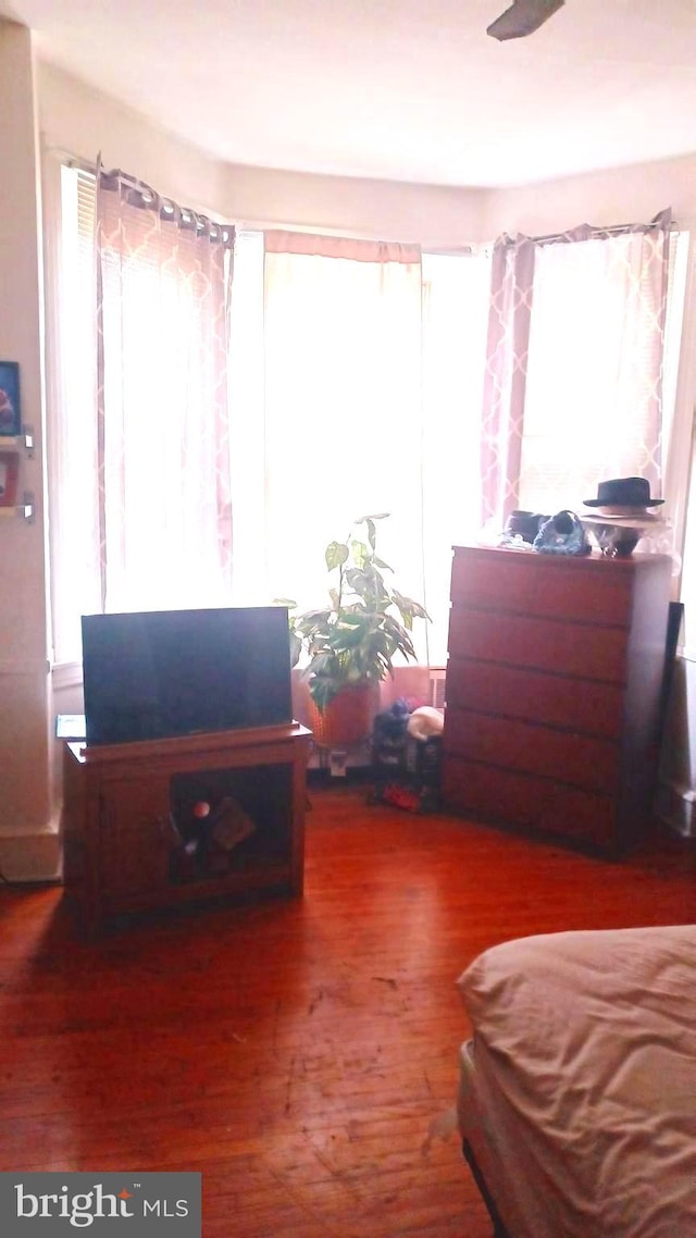 bedroom featuring multiple windows, dark hardwood / wood-style flooring, and ceiling fan