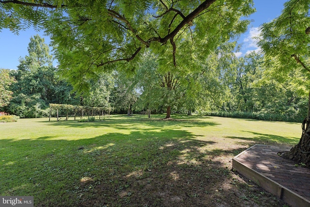 view of yard featuring a pergola