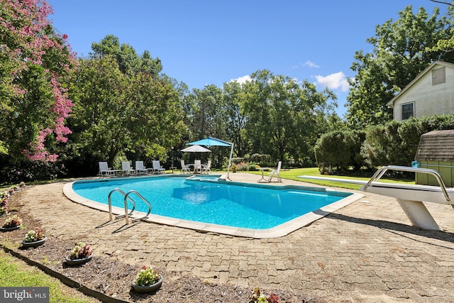 view of swimming pool with a patio