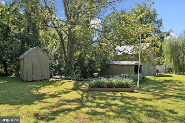 view of yard with a storage shed