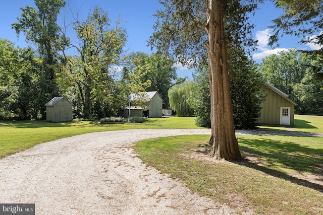 view of yard featuring a storage shed