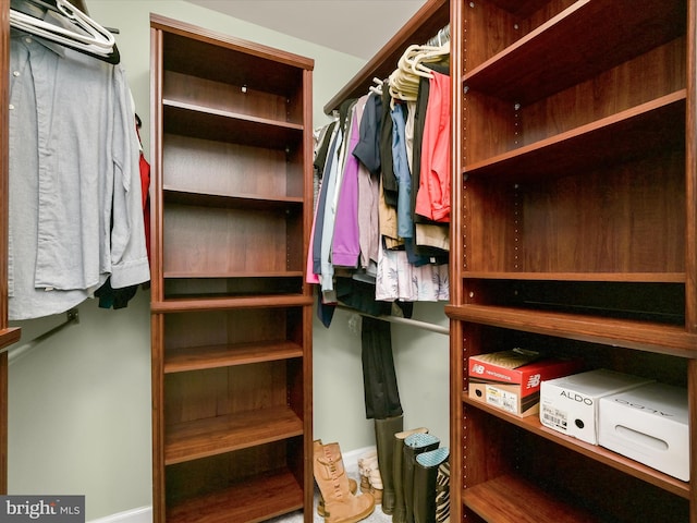 view of spacious closet