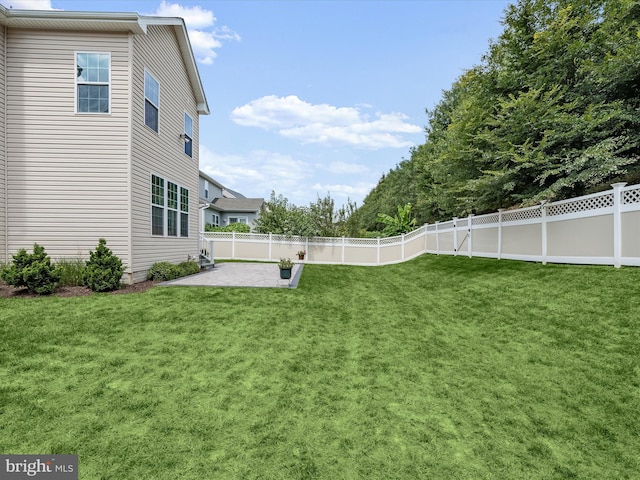 view of yard featuring a patio area