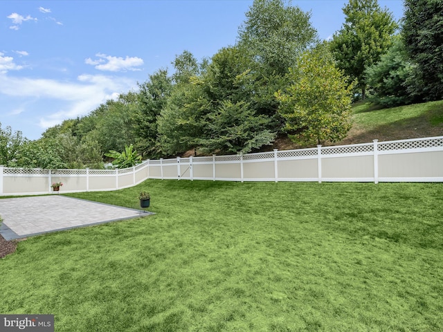 view of yard featuring a patio area