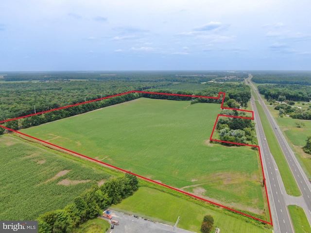 0 S Dupont Hwy, Greenwood DE 19950 LAND for sale