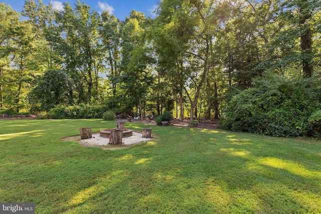 view of yard with a fire pit