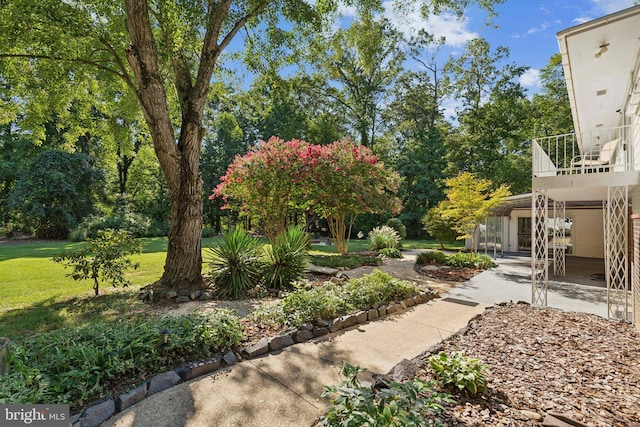 view of yard featuring a patio area