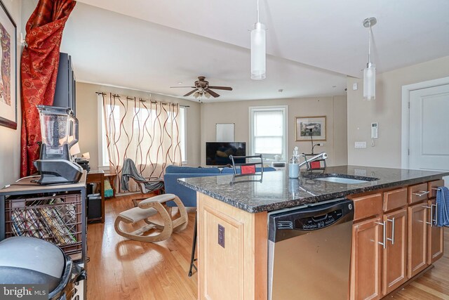 kitchen with ceiling fan, sink, stainless steel dishwasher, and light hardwood / wood-style floors