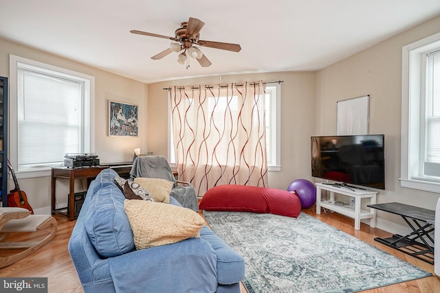 living room featuring ceiling fan, plenty of natural light, and light hardwood / wood-style floors