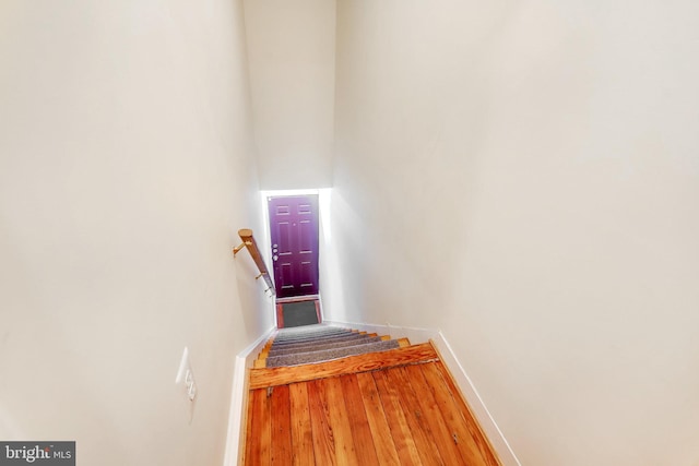 stairway with wood-type flooring