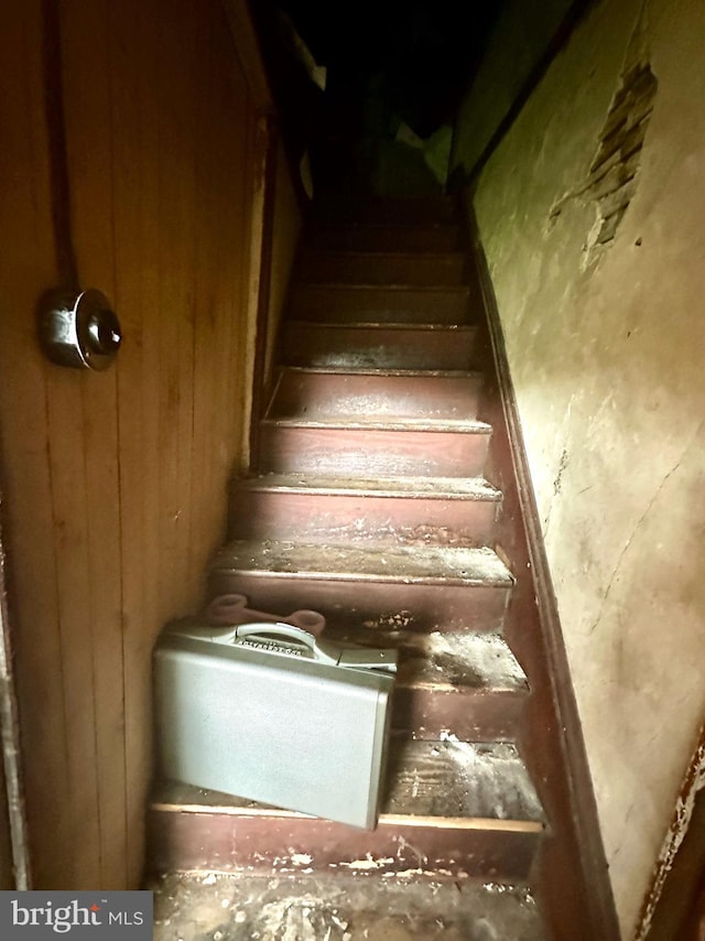 stairway with wood walls