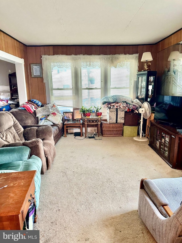 carpeted living room with wood walls