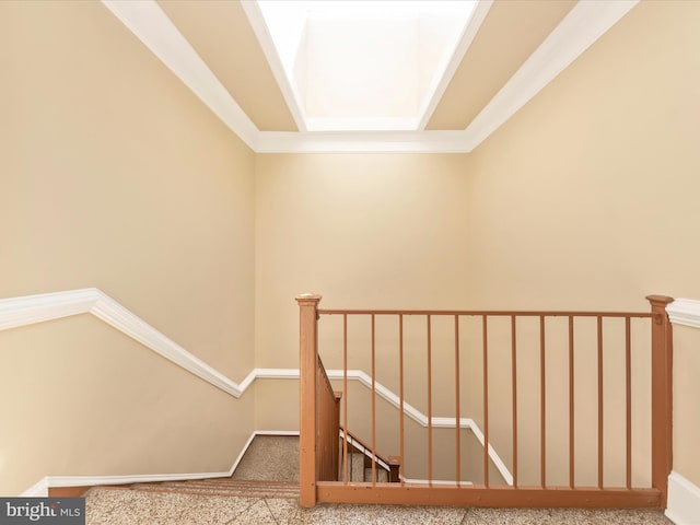 stairs with carpet flooring