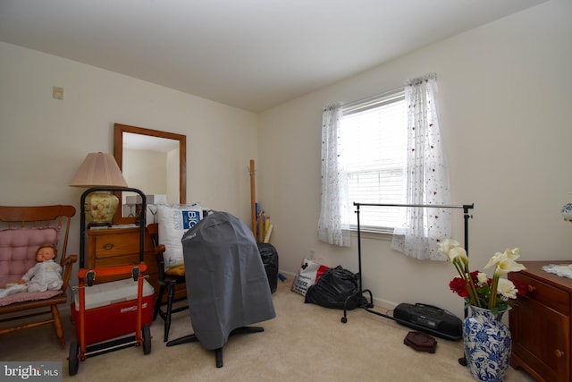 bedroom with light carpet