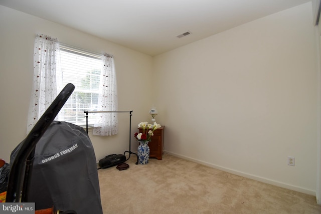 office area featuring light colored carpet