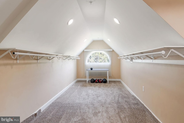 spacious closet with vaulted ceiling and carpet floors