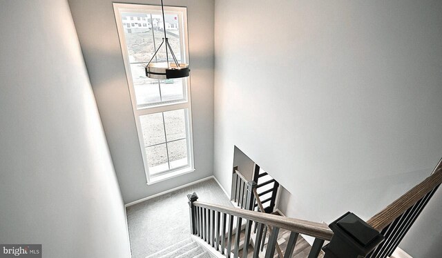 unfurnished room featuring light carpet