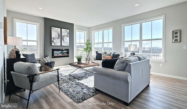 living room featuring hardwood / wood-style flooring