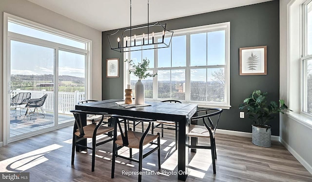 dining room with a wealth of natural light and hardwood / wood-style floors