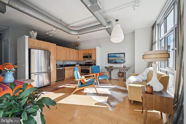 living room with sink, track lighting, and light hardwood / wood-style floors