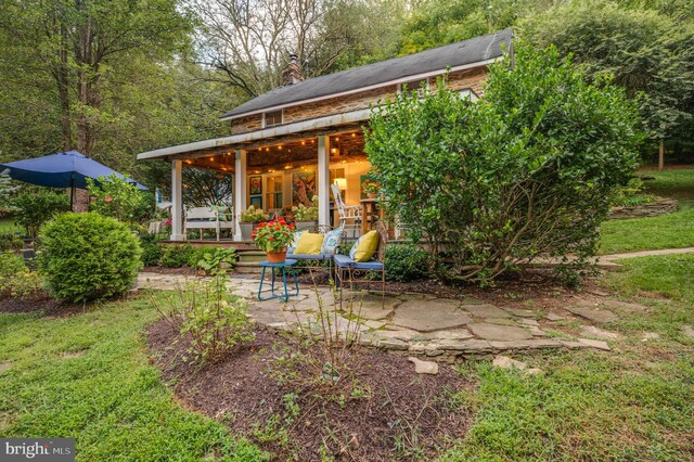 view of yard featuring a patio