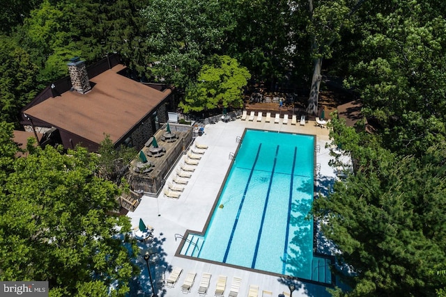 view of swimming pool featuring a patio area