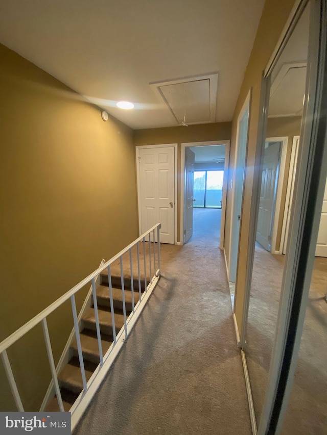 corridor featuring carpet floors