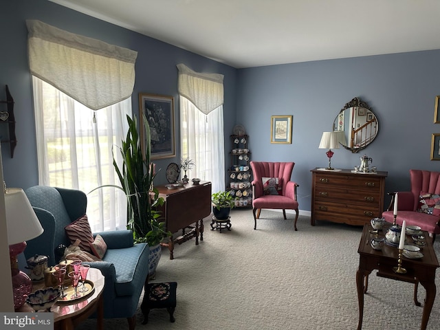 sitting room featuring carpet flooring