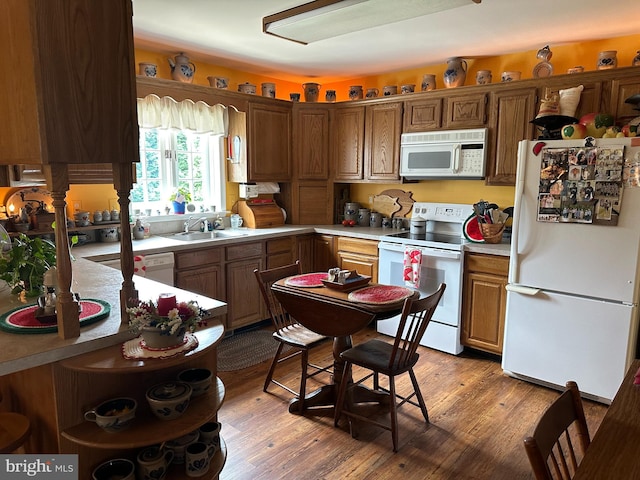 kitchen with sink, hardwood / wood-style flooring, and white appliances