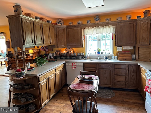 kitchen featuring sink, hardwood / wood-style floors, and white appliances