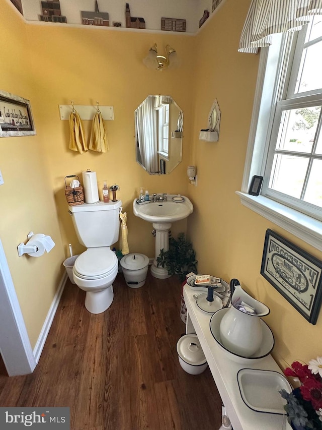 bathroom with wood-type flooring and toilet