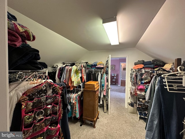 spacious closet with carpet floors and vaulted ceiling