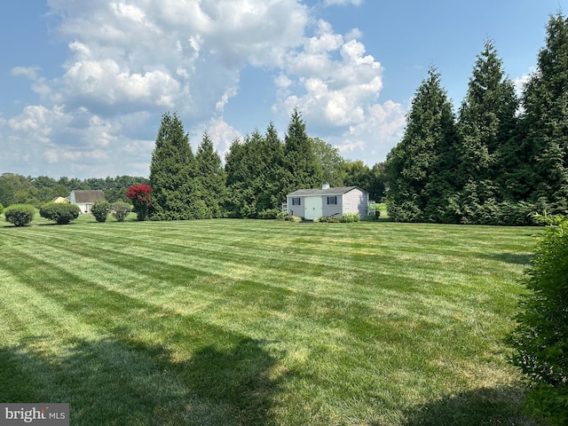 view of yard featuring a storage shed