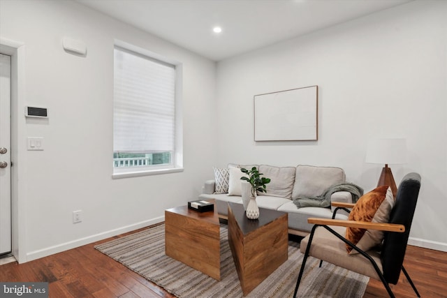 living room with hardwood / wood-style floors