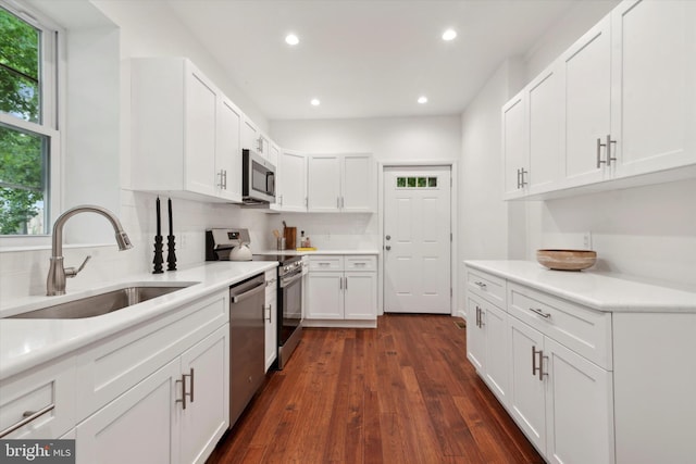 kitchen with sink, dark hardwood / wood-style flooring, plenty of natural light, and stainless steel appliances