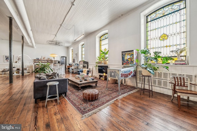 living room featuring hardwood / wood-style floors and a wealth of natural light