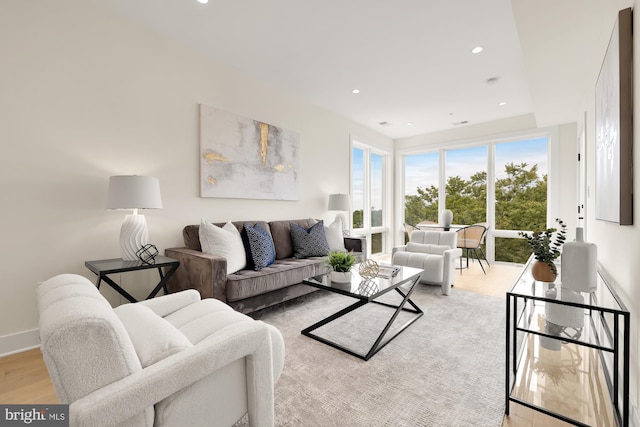 living room with light wood-type flooring