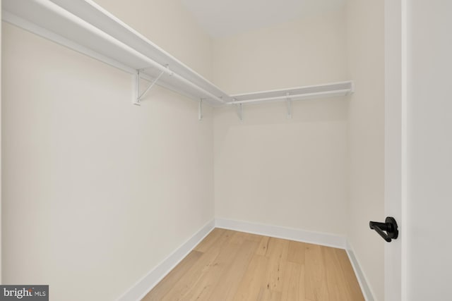 walk in closet with light wood-type flooring