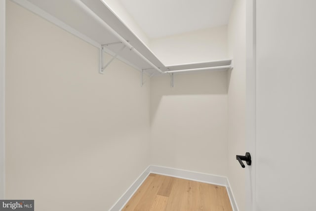 walk in closet with light wood-type flooring