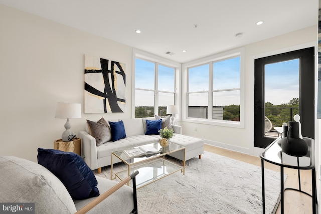 living room featuring light hardwood / wood-style flooring