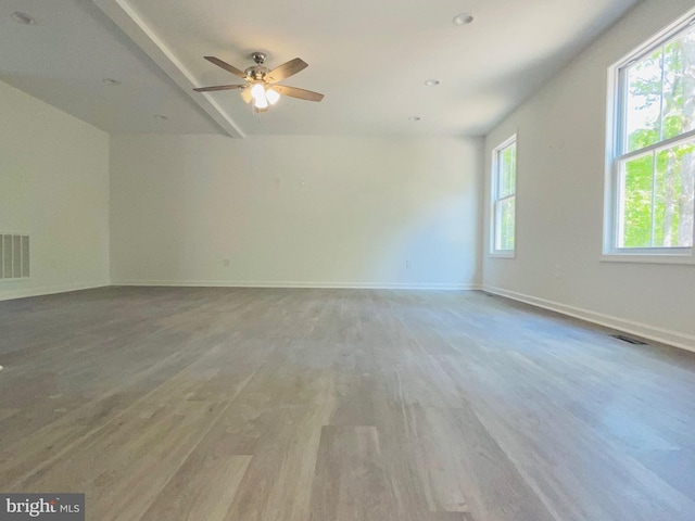 empty room featuring a healthy amount of sunlight and light hardwood / wood-style flooring