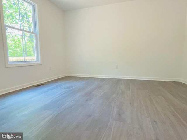 spare room featuring wood-type flooring