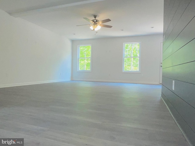 empty room featuring wood-type flooring and ceiling fan