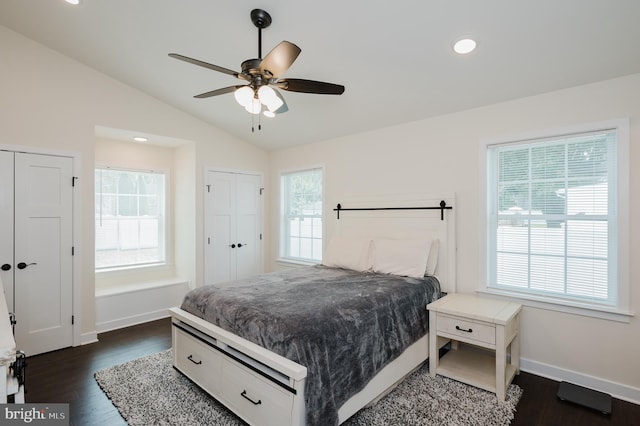 bedroom featuring multiple windows, dark wood finished floors, and vaulted ceiling