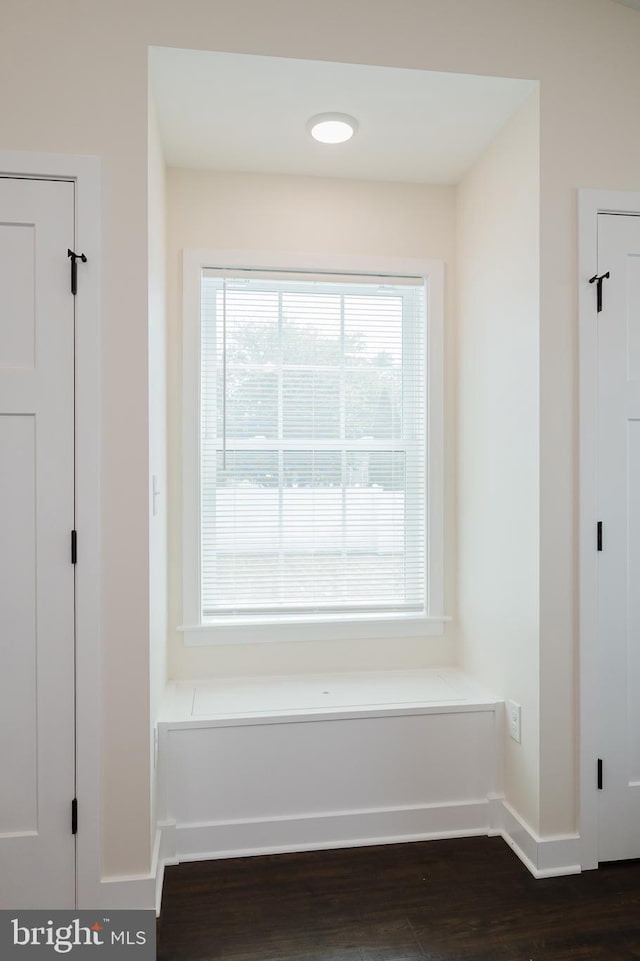 room details featuring wood-type flooring