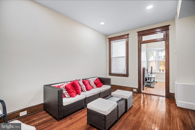 living room featuring hardwood / wood-style flooring