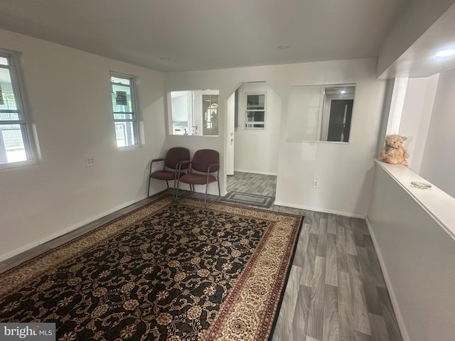 interior space featuring wood-type flooring